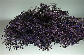 Gypsopile VIOLET HOA DECO 