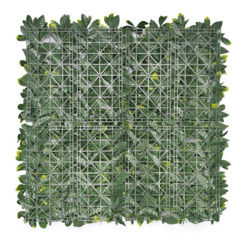 Mur végétal et plante stabilisée à Saint-Malo, Bretagne