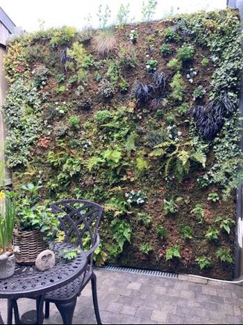 HOA DECO Mur végétal particulier entretien green wall naturel design création