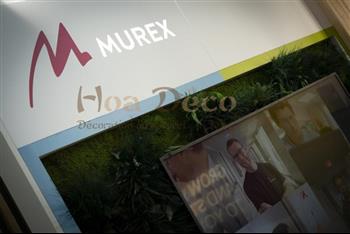 hoa deco murs vegetaux stabilisé stand murex physical