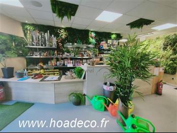 hydro et culture hoa eco showroom juin 21 murs vegetaux naturels et stabilisés plantes artificielles