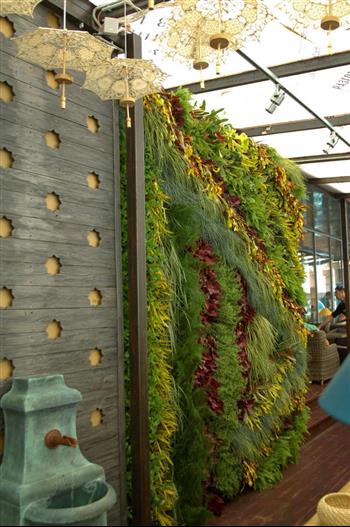 Cloison végétale extérieurs immeuble facade green wall zen spirit Hoa déco