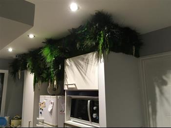 cuisine mur stabilisé végétal Green Wall Hoa Déco