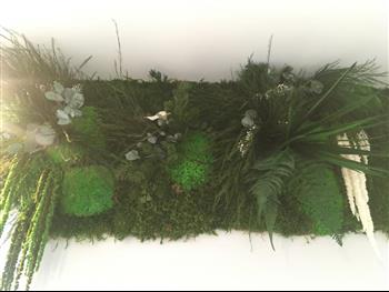 mur végétal stabilisé sur mesure naturelle green wall