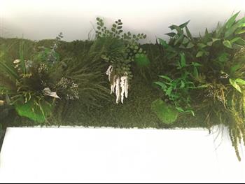 mur végétal stabilisé sur mesure design green wall