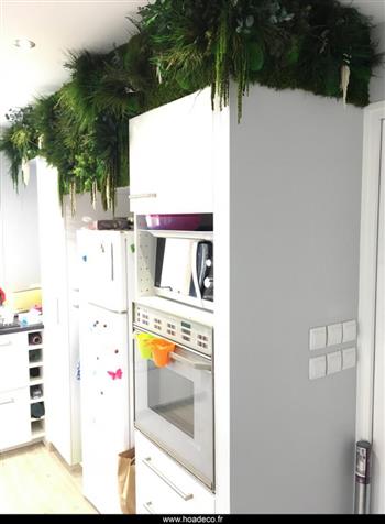 cuisine mur stabilisé végétal Green Wall Hoa Déco végétaux