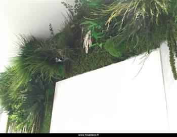 cuisine mur stabilisé végétal Green mur Hoa Déco
