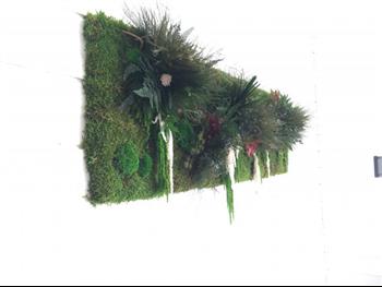 cadre sur mesure stabilisé green wall intérieur particulier 35 Hoa déco