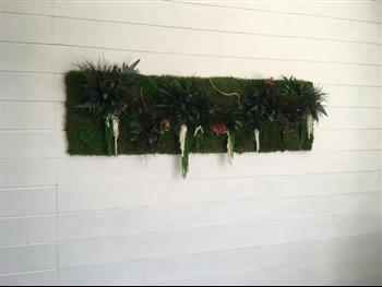 cadre sur mesure stabilisé green wall intérieur particulier 35 Hoa déco