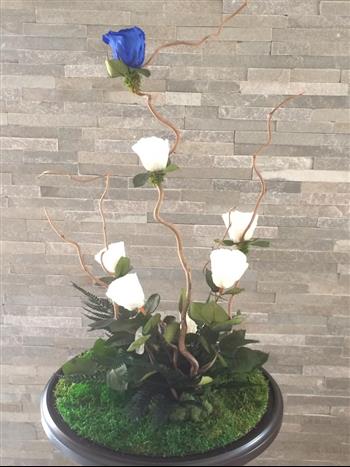 Rose stabilisé Bleu et Blanches Hoa deco green design intérieur