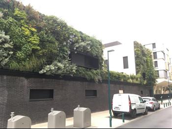 Mur végétal naturel green wall design mur stabilisé