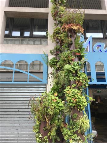 totem végétal naturel paris la défense mur végétaux Hoa Déco