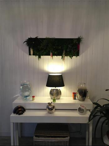 cadre stabilisé lichen Hoa déco mono 22x22cm sur mesure zen spirit green wall tendance mur végétal