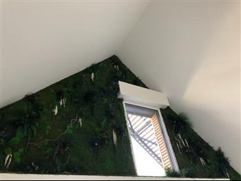 mur stabilisé particulier Dinard Végétalisé bow window hoa déco green wall naturel designe décoration