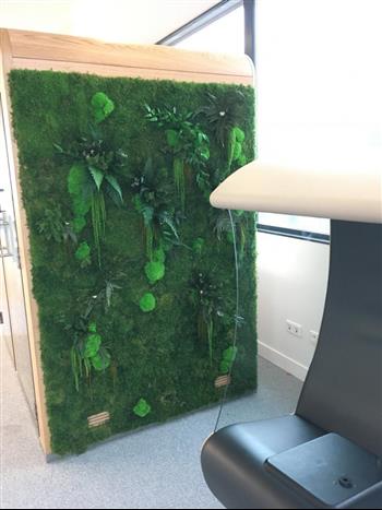 quatro silence box mur stabilisé ZEN végétal Hoa Déco green