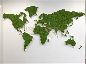 mappe monde stabilisé lichen vers citron Hoa Déco Murs végétaux