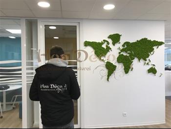 mappe monde stabilisé lichen vers citron Hoa Déco Murs végétaux