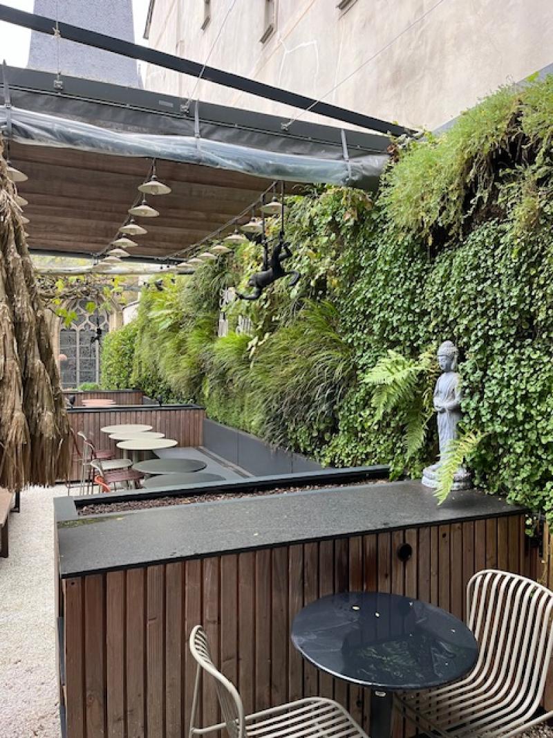 mur vegetal hoa deco sphiagne rennes entretien plantes arbres taillage