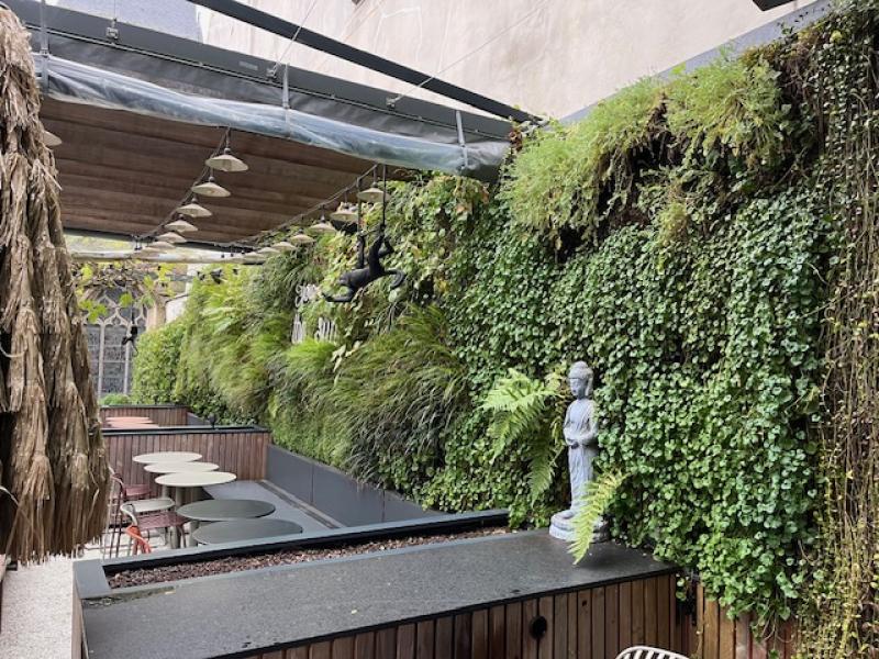mur vegetal hoa deco sphiagne rennes entretien plantes arbres taillage