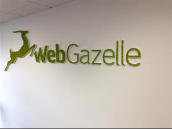 logo stabilisé lichen vert citron web gazelle