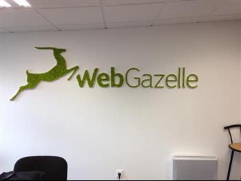 logo stabilisé lichen vert citron web gazelle
