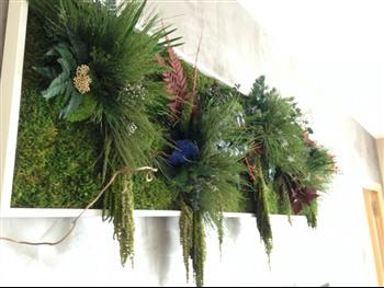 Nature Sur Mesure Encadrement