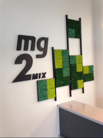 Mur stabilisé creation sur mesure Hoa deco Mg2 mix végétal green wall