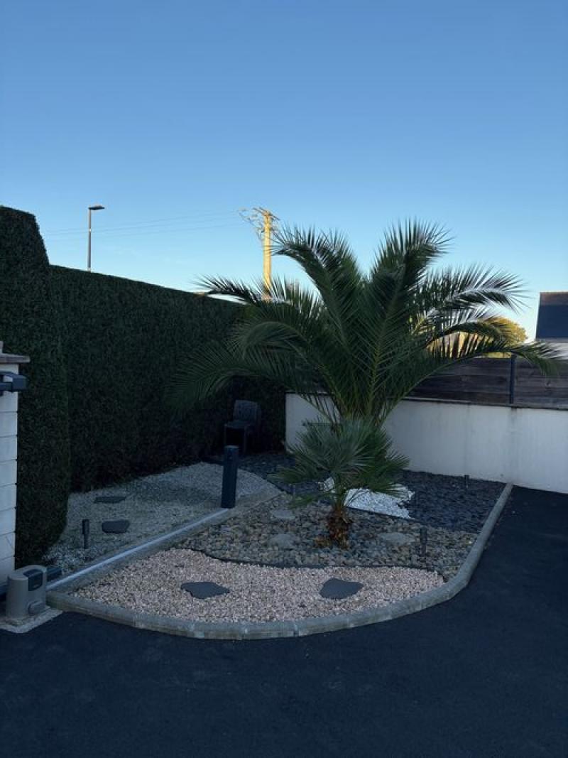 particulier jardin paysage palmier haie miniac morvan hoa deco