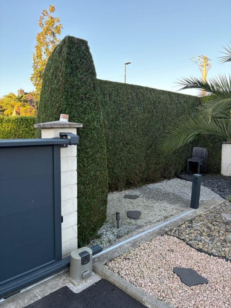 particulier jardin paysage palmier haie miniac morvan hoa deco