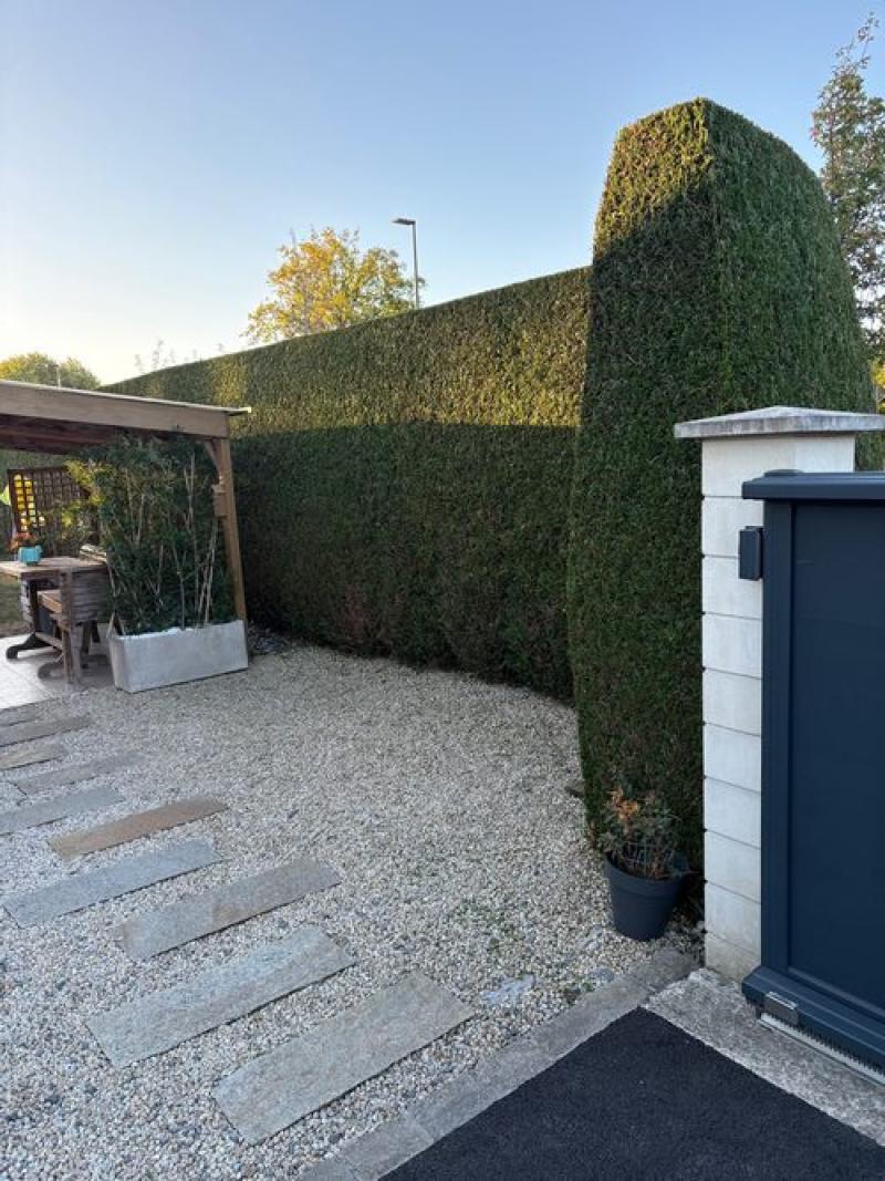 particulier jardin paysage palmier haie miniac morvan hoa deco