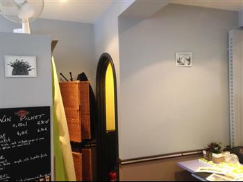 mur végétal stabilisé sur mesure design green mur wall végétaux