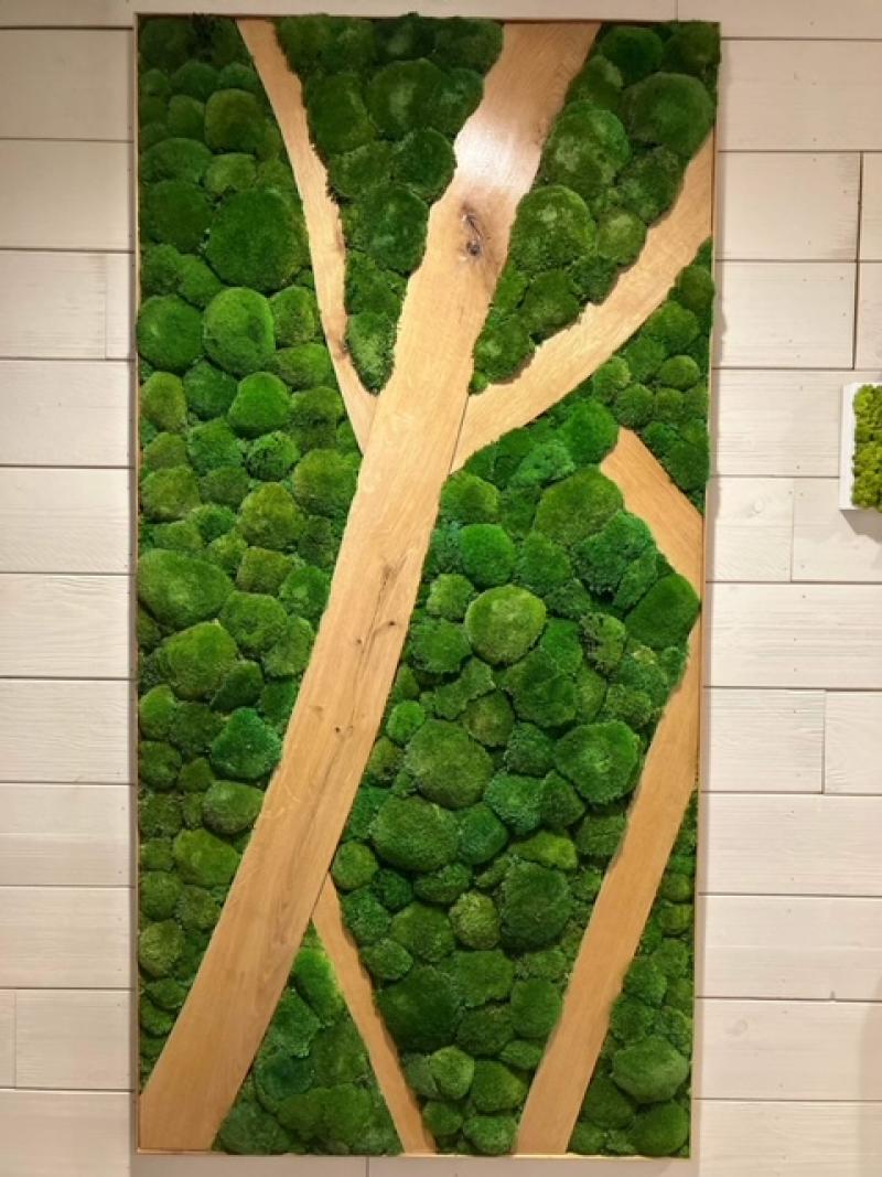 Mur végétal et plante stabilisée à Saint-Malo, Bretagne