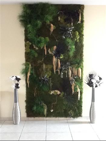 Mur végétal et plante stabilisée à Saint-Malo, Bretagne