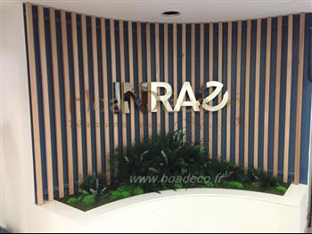 INRA 2019 jardinières stabilisées mousse provence lichen scandinave creation HOA DECO 2020 design green wall murs vegetaux spirit