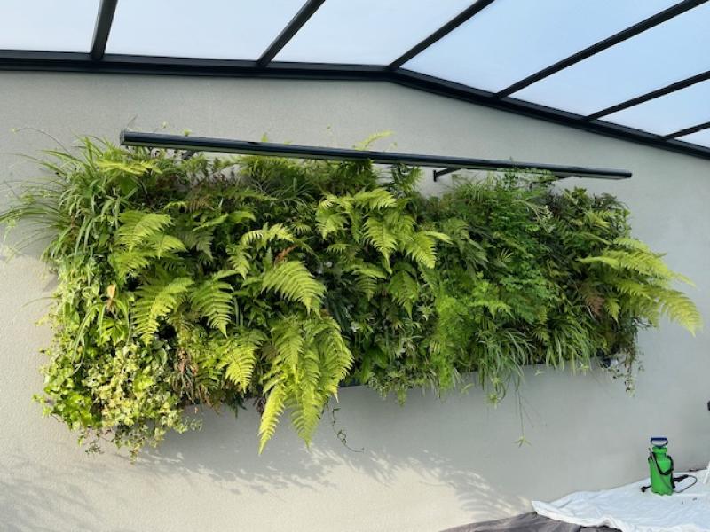 jardin naturel avec mur vegetal sphaigne bardage bois exotique.piscine sauna hamam