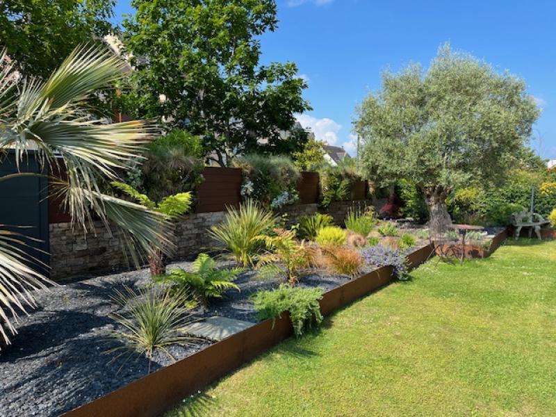jardin naturel avec mur vegetal sphaigne bardage bois exotique hoa deco fougere dicksonia