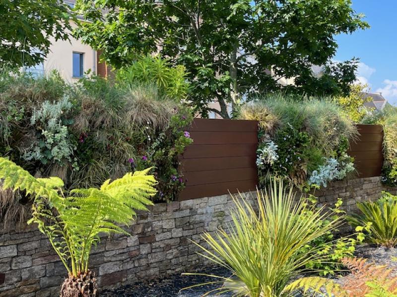 jardin naturel avec mur vegetal sphaigne bardage bois exotique hoa deco fougere dicksonia