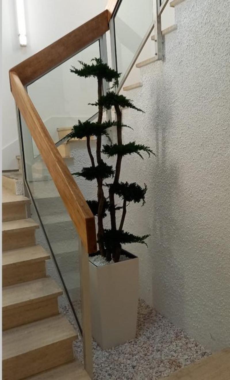 Juniperus pot design hoa deco green wall plante stabilisée