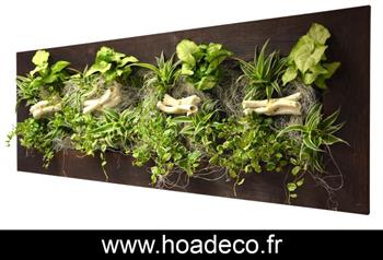 wall flower 31*92 cm Vieux Bois Foncé