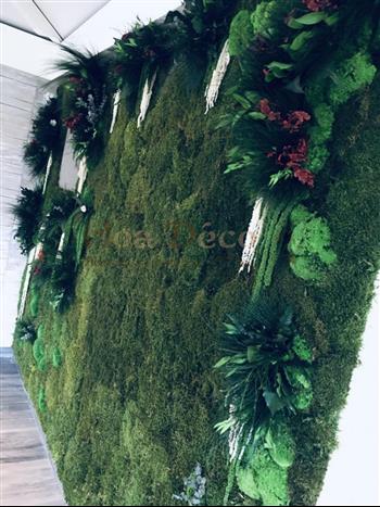 la chaumière d'hirel restaurant hoa déco cave à vins véranda hoa déco murs stabilisé 10 m2 bretagne green wall