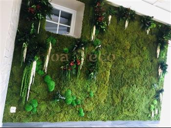 la chaumière d'hirel restaurant hoa déco cave à vins véranda hoa déco murs stabilisé 10 m2 décor penché