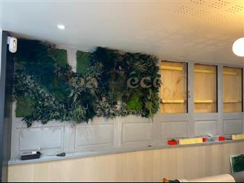 le café noir DInan PRO 22 création HOA DECO DESIGN mur végétal
