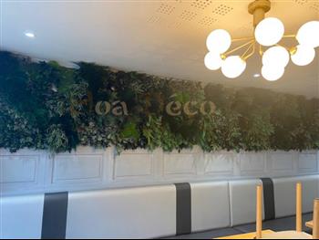le café noir DInan PRO 22 création HOA DECO DESIGN murs vegetaux