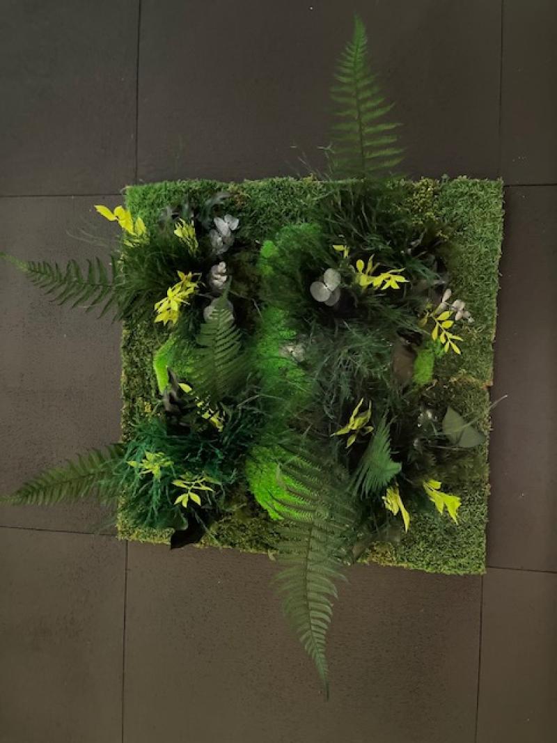 les 4 saisons mur stabilisé plafond vegetal murs vegetaux HOA DECO saint malo france dalle zoom