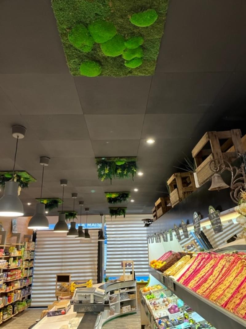 les 4 saisons mur stabilisé plafond vegetal murs vegetaux HOA DECO saint malo france dalles vegetales