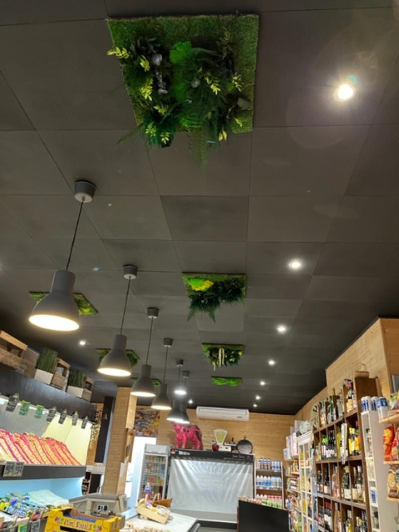 les 4 saisons mur stabilisé plafond vegetal murs vegetaux HOA DECO saint malo france intra murros