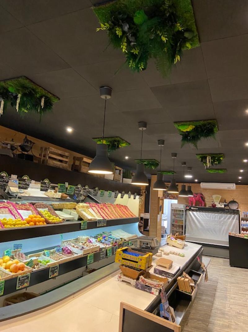 les 4 saisons mur stabilisé plafond vegetal murs vegetaux HOA DECO saint malo france