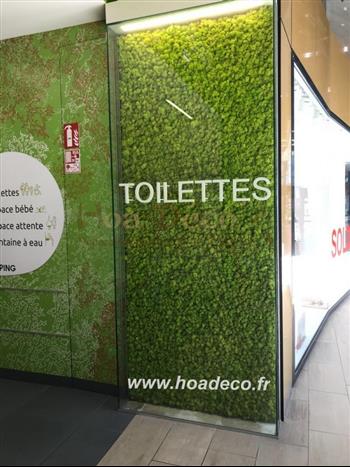 lichen green wall wc toilette grande surface centre commercial mur vegetal zen spirit attitude HPOA DECO