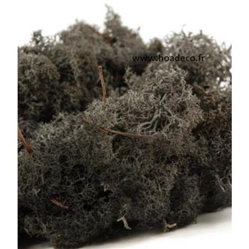 Tableau de Lichen Stabilisé Noir Demi-Maxi 114x36