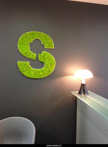 stratégie capitale logo lichen stabilisé